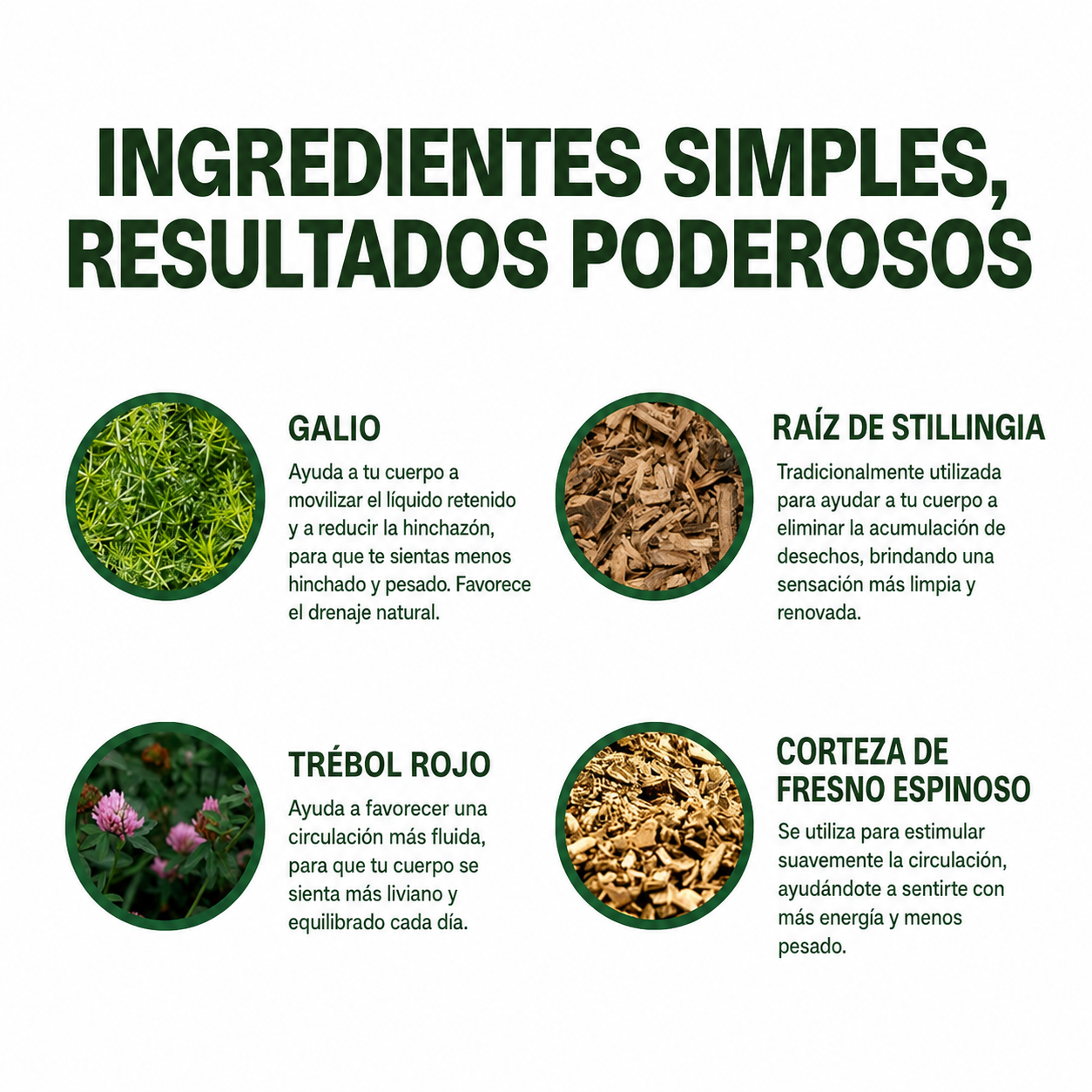 Lymphoria™ | Drena Naturalmente la Hinchazón del Rostro, Abdomen y Piernas