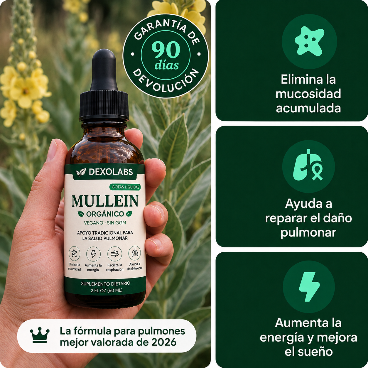 ¡Elimina la mucosidad acumulada y recupera la respiración fácil en solo 7 días!