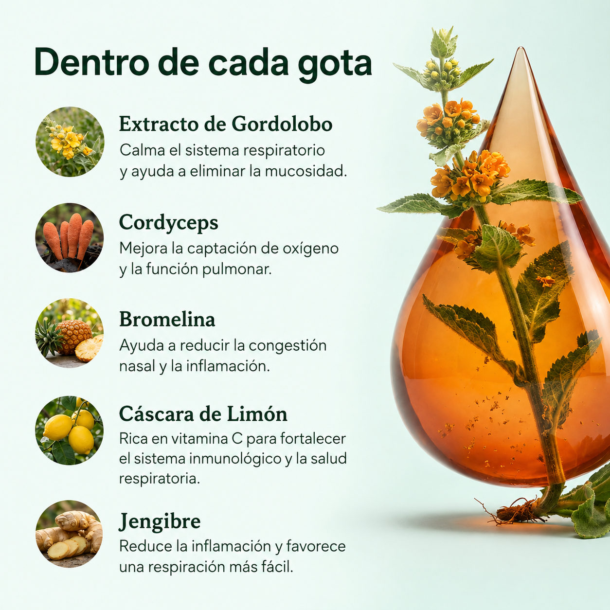 ¡Elimina la mucosidad acumulada y recupera la respiración fácil en solo 7 días!