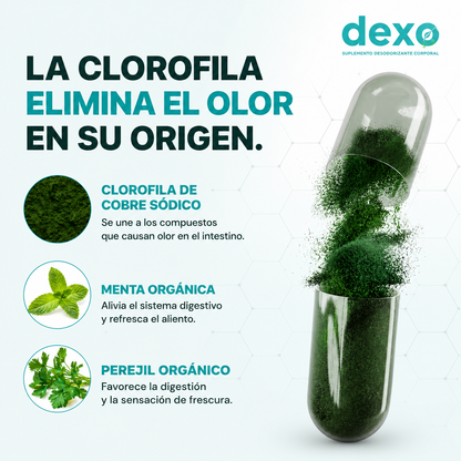 Desodorante corporal Dexo ®