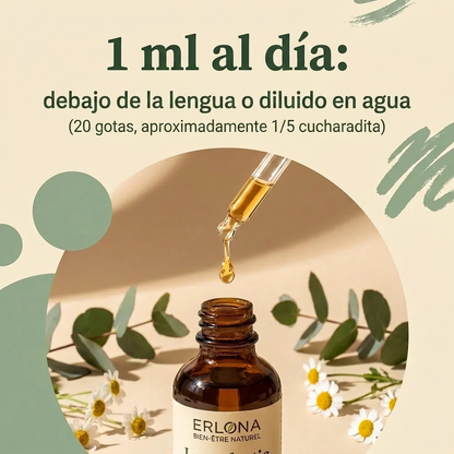 Erlona – Drenaje Linfático
